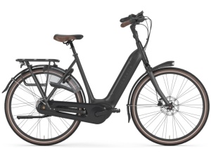 Jan Roosken Tweewielercentrum | Gazelle Arroyo C8 HMB Elite