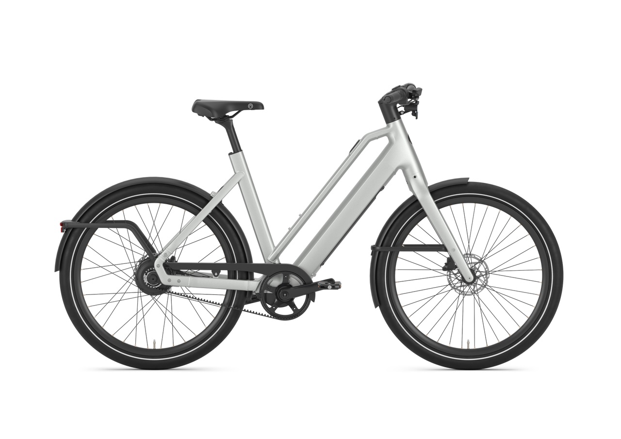 Gazelle Cayo C310 Low