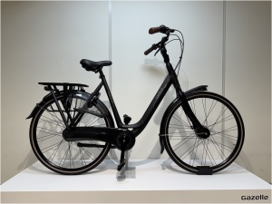 Gazelle Orange C8 D57