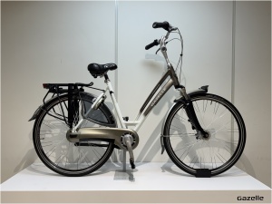 Gazelle Chamonix Plus D53
