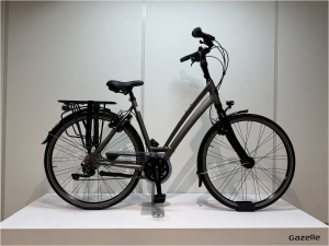 Gazelle Chamonix T30 D53
